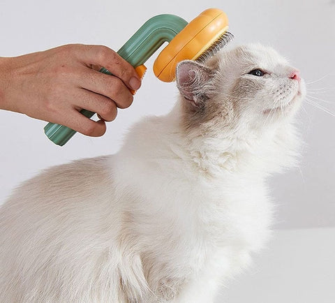 Katt- och Hundborste